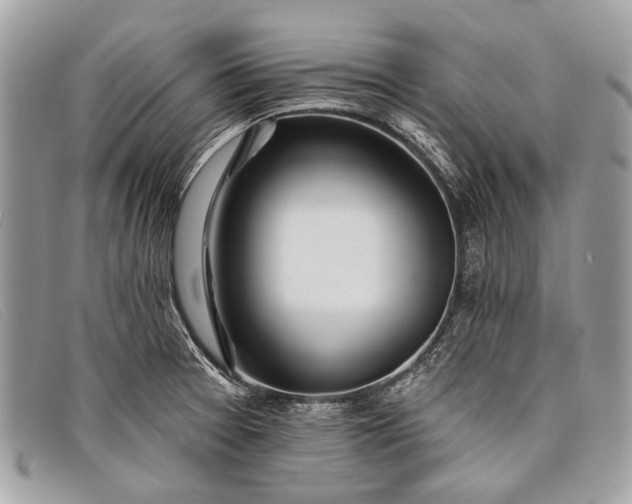 X0000098031377200804111312