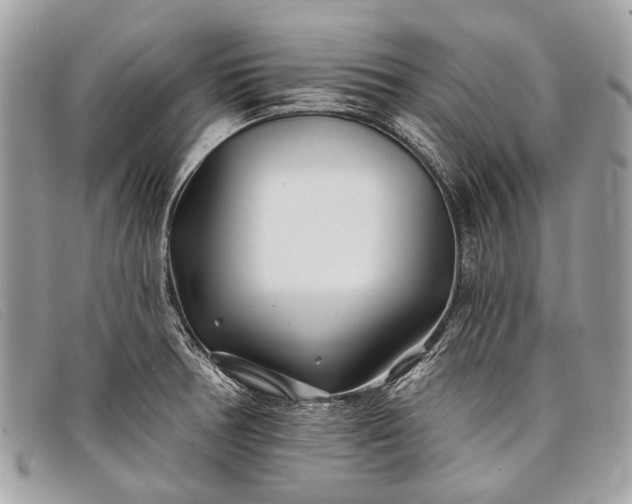 X0000098031378200804111312