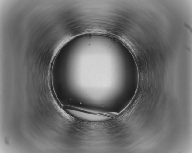 X0000098031379200804111312