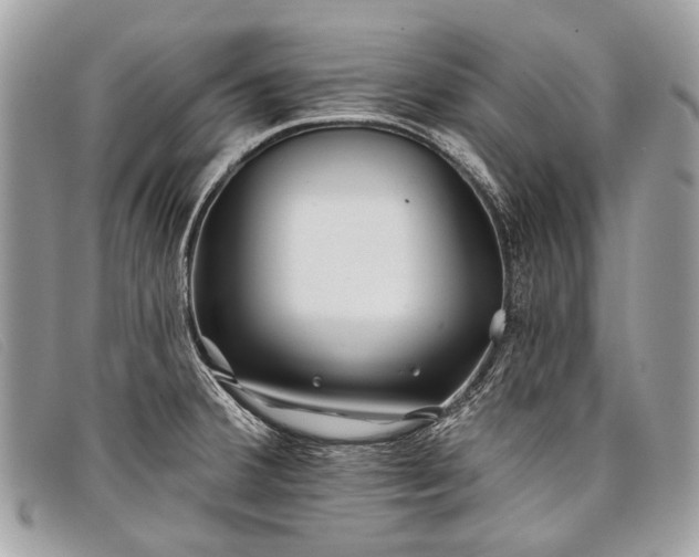 X0000098031380200804111312