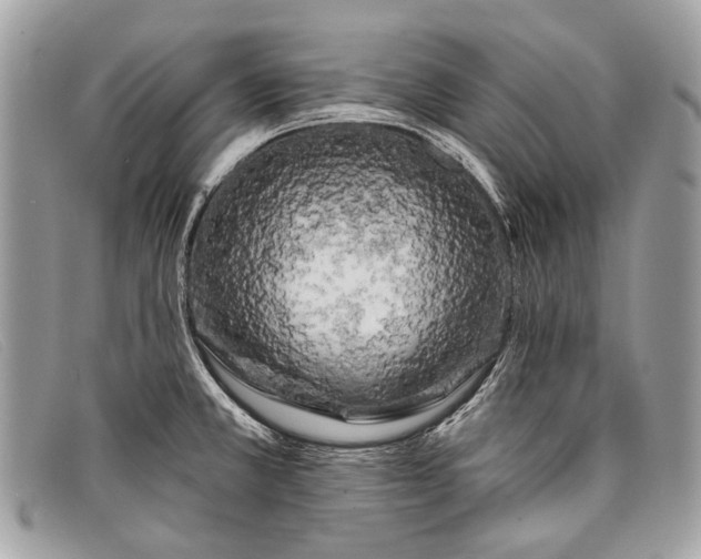 X0000098031381200804111312