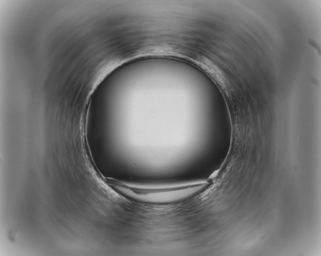 X0000098031382200804111312