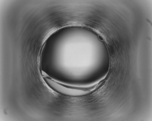 X0000098031383200804111312