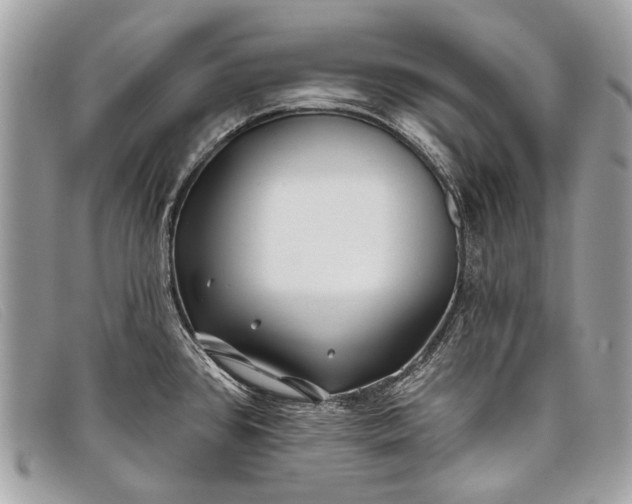 X0000098031384200804111312