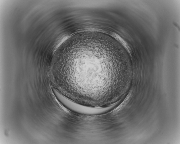 X0000098031385200804111312