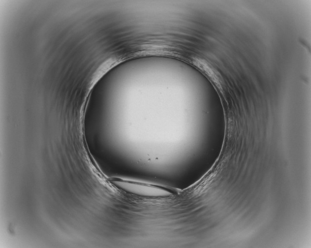 X0000098031386200804111312