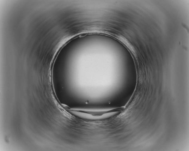 X0000098031388200804111312