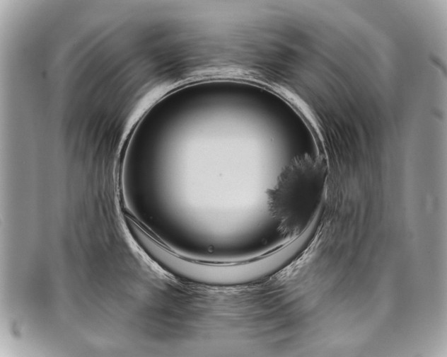 X0000098031389200804111312