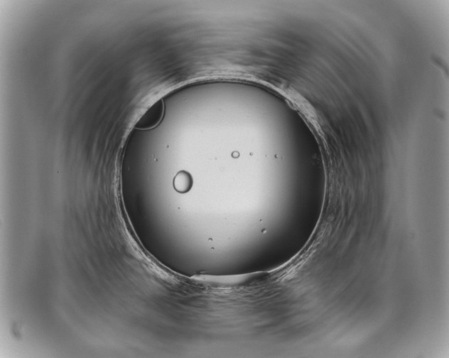 X0000098031390200804111312