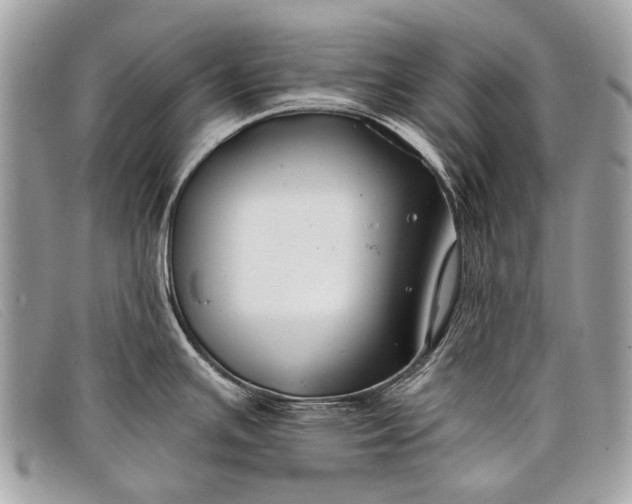 X0000098031391200804111312