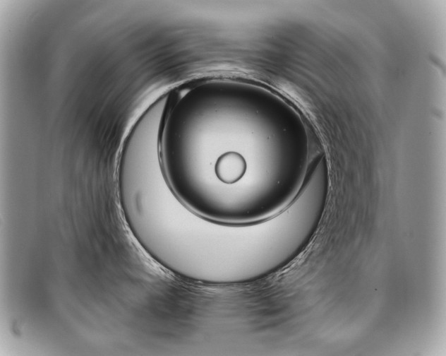 X0000098031392200804111312