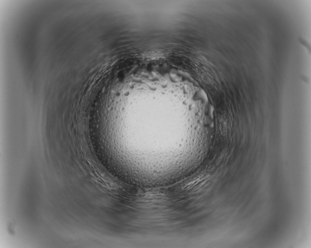 X0000098031393200804111311