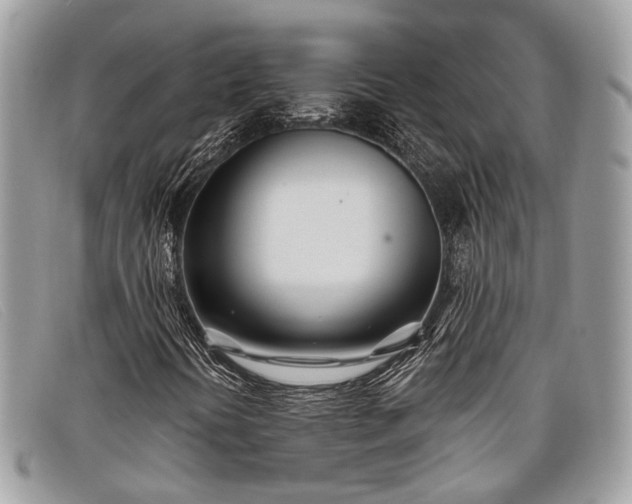 X0000098031394200804111311