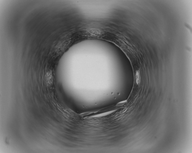 X0000098031395200804111311