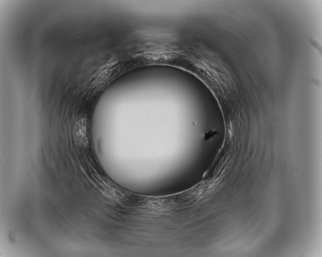 X0000098031396200804111311