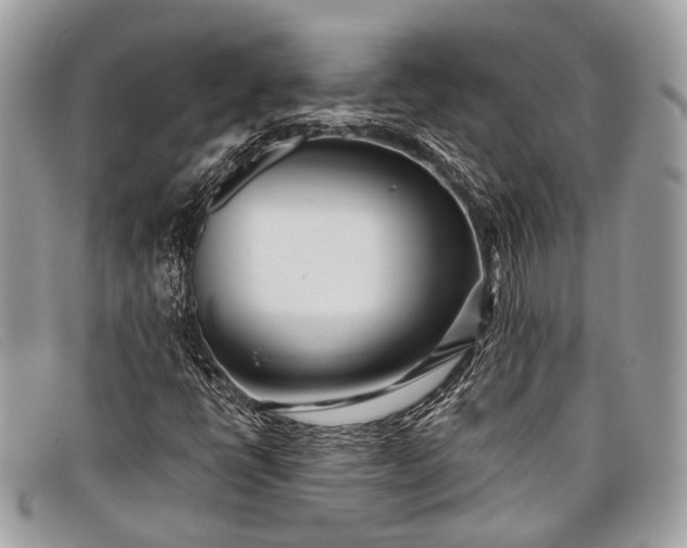 X0000098031398200804111311