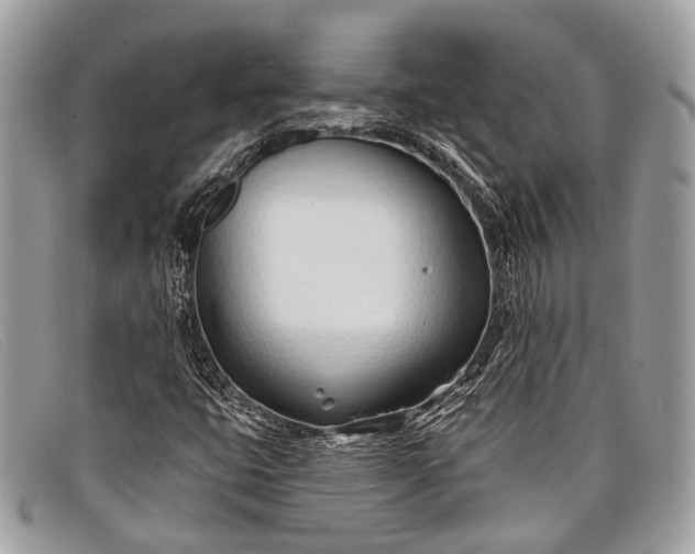 X0000098031399200804111311