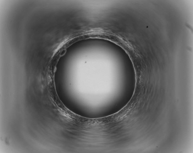 X0000098031400200804111311