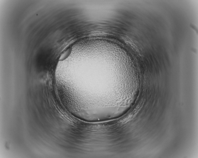 X0000098031401200804111311