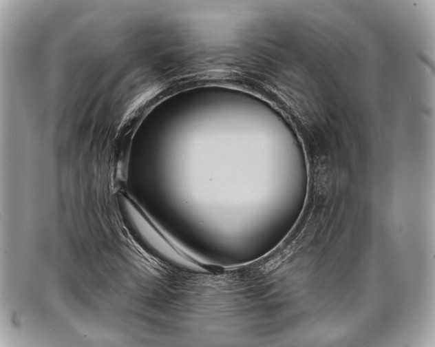 X0000098031402200804111311