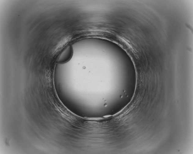 X0000098031403200804111311