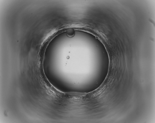 X0000098031406200804111311