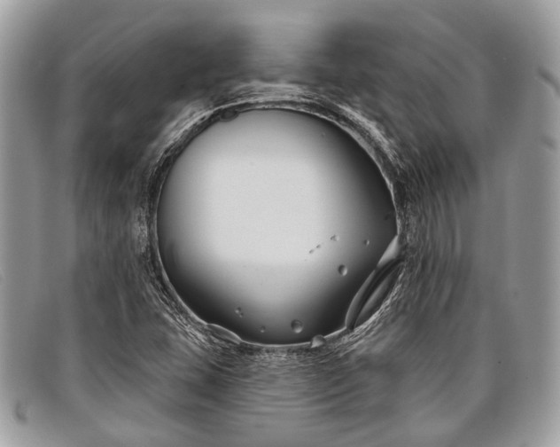 X0000098031407200804111311