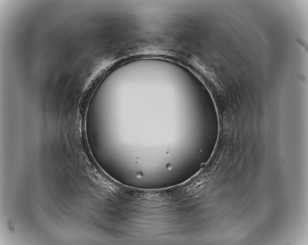 X0000098031408200804111311