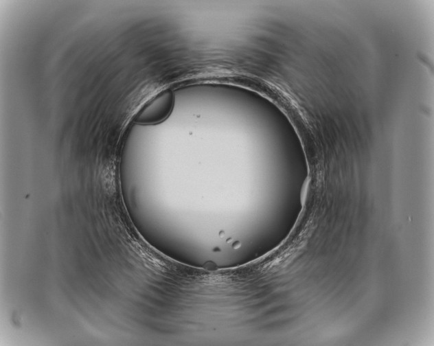 X0000098031409200804111311