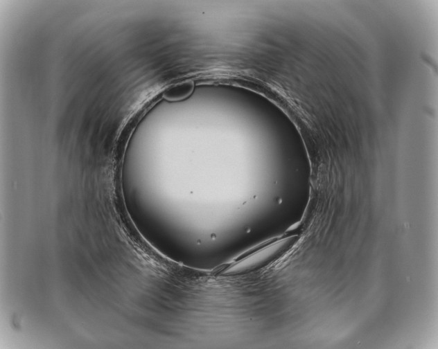 X0000098031410200804111311