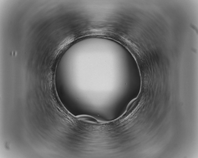 X0000098031411200804111311