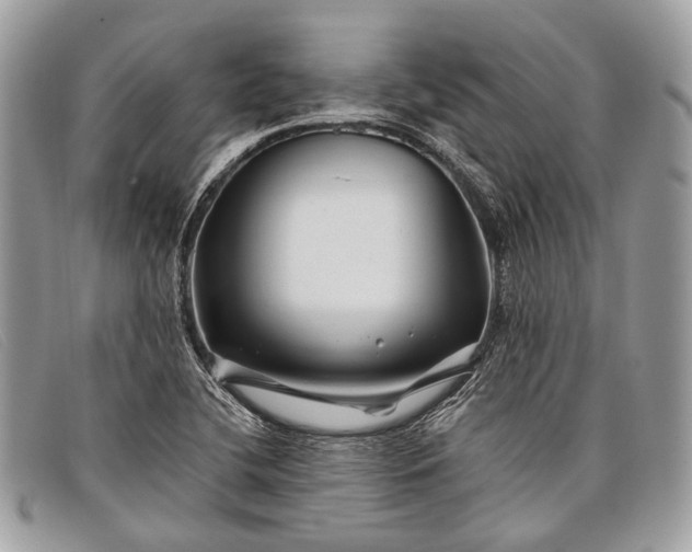 X0000098031412200804111311