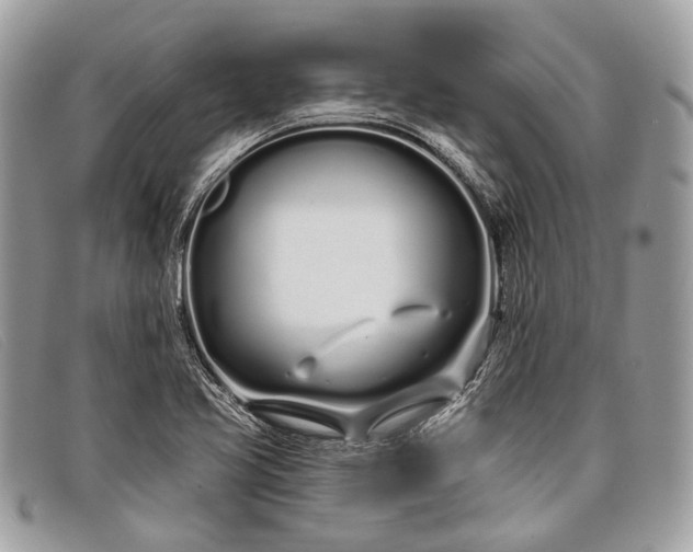 X0000098031413200804111311