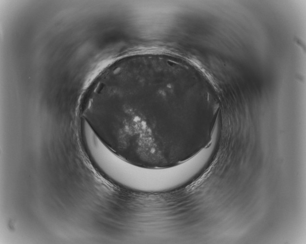 X0000098031414200804111311