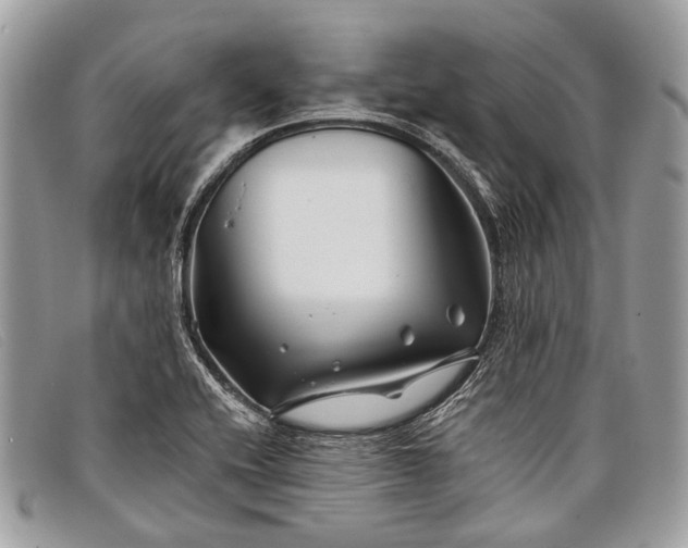 X0000098031416200804111311