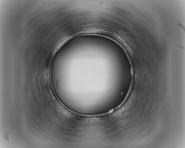 X0000098031417200804111311