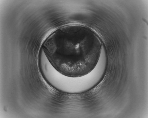 X0000098031418200804111311