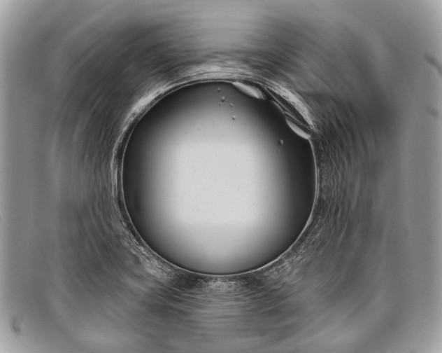 X0000098031419200804111311