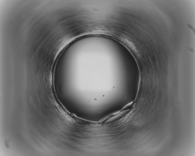 X0000098031420200804111311