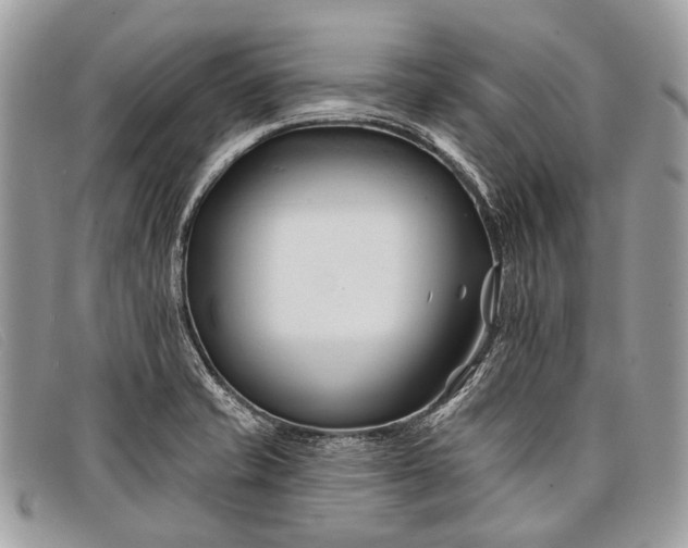 X0000098031421200804111311