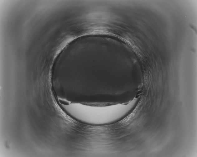 X0000098031422200804111311