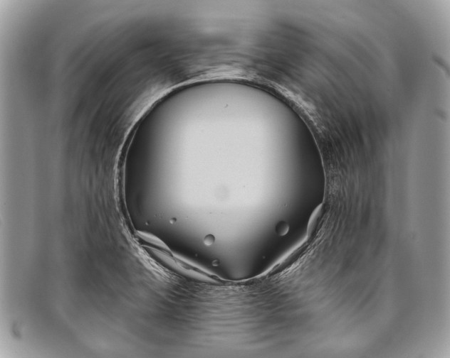 X0000098031423200804111311