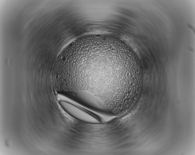 X0000098031425200804111311