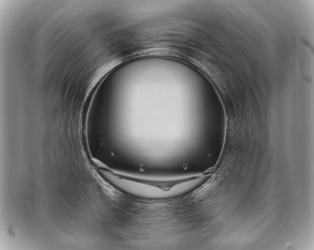 X0000098031426200804111311