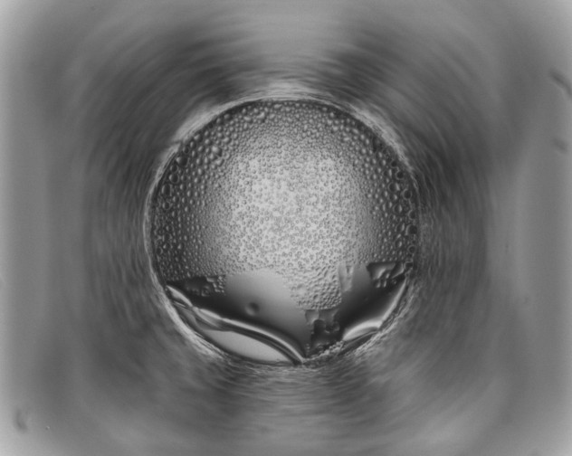 X0000098031429200804111311