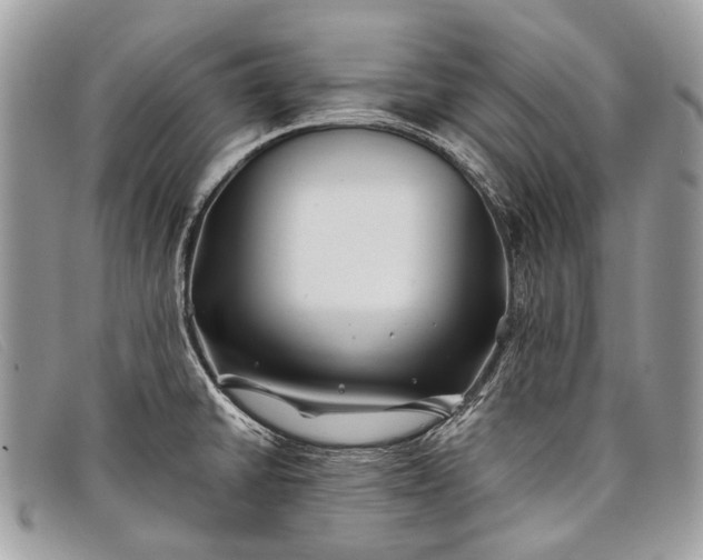 X0000098031430200804111311