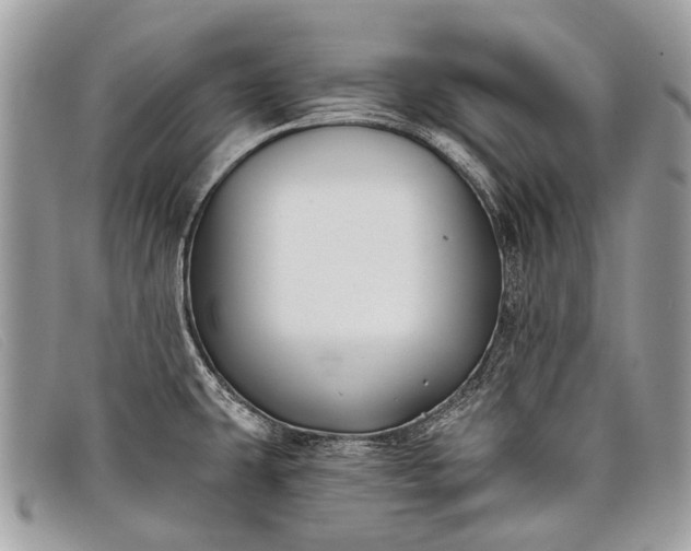 X0000098031431200804111311