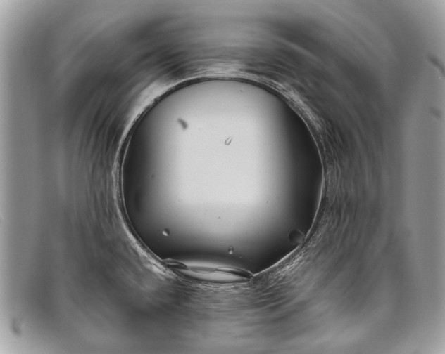 X0000098031432200804111311