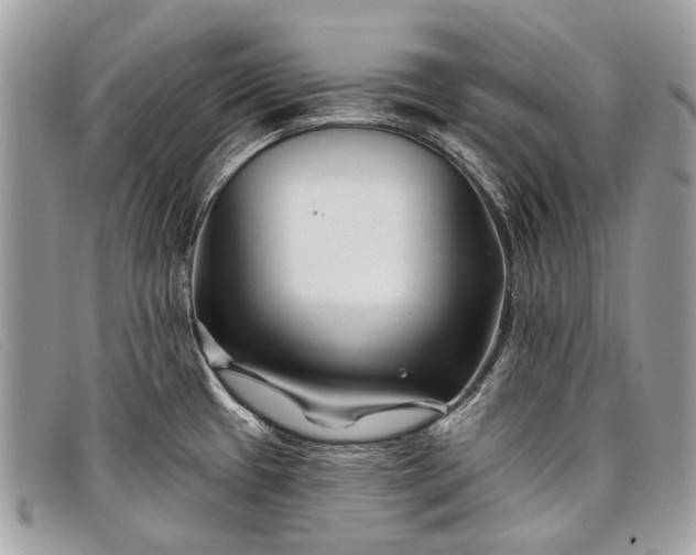 X0000098031433200804111311