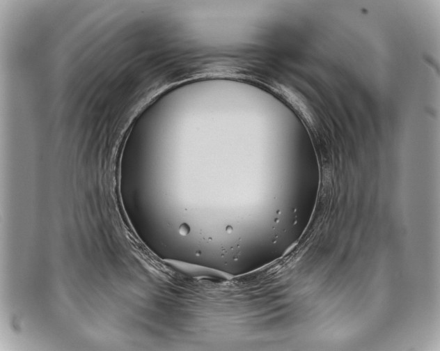 X0000098031435200804111311